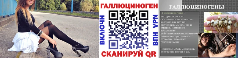 Псилоцибиновые грибы Cubensis где можно купить наркотик Евпатория